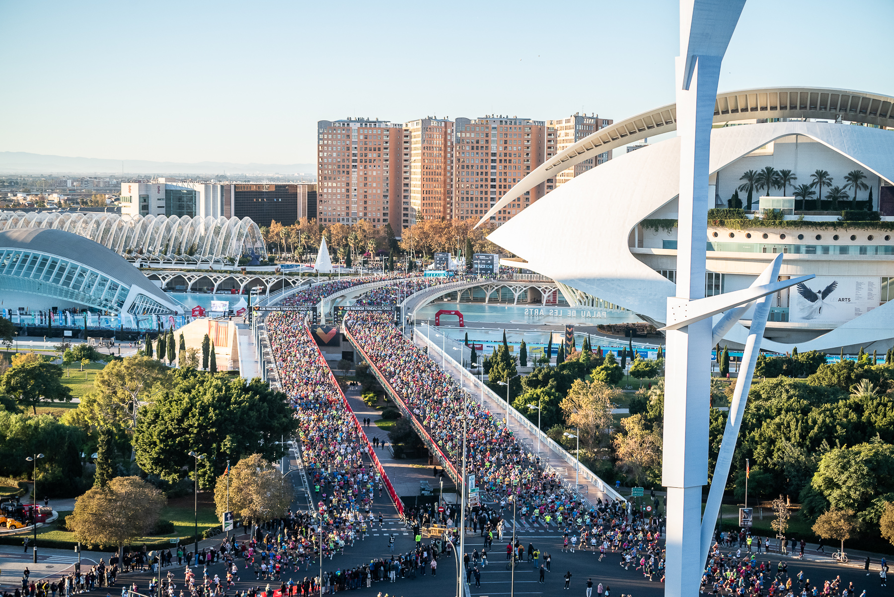 Bild: Valencia Marathon Trinidad Alfonso